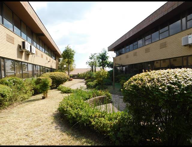 384M² OFFICE TO LET IN RANDBURG CENTRAL